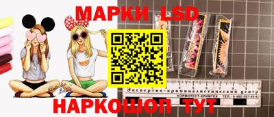 крисы Берёзовский