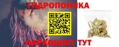 крисы Берёзовский