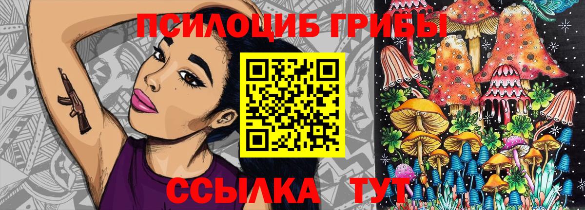 Псилоцибиновые грибы прущие грибы Калининград