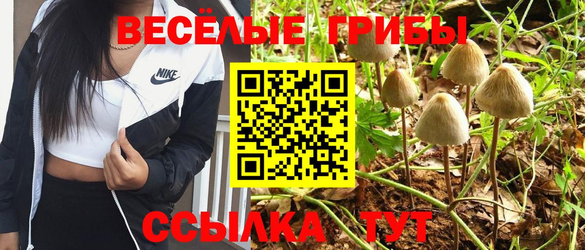 Калининград  Псилоцибиновые грибы Psilocybe  Вход с VPN 